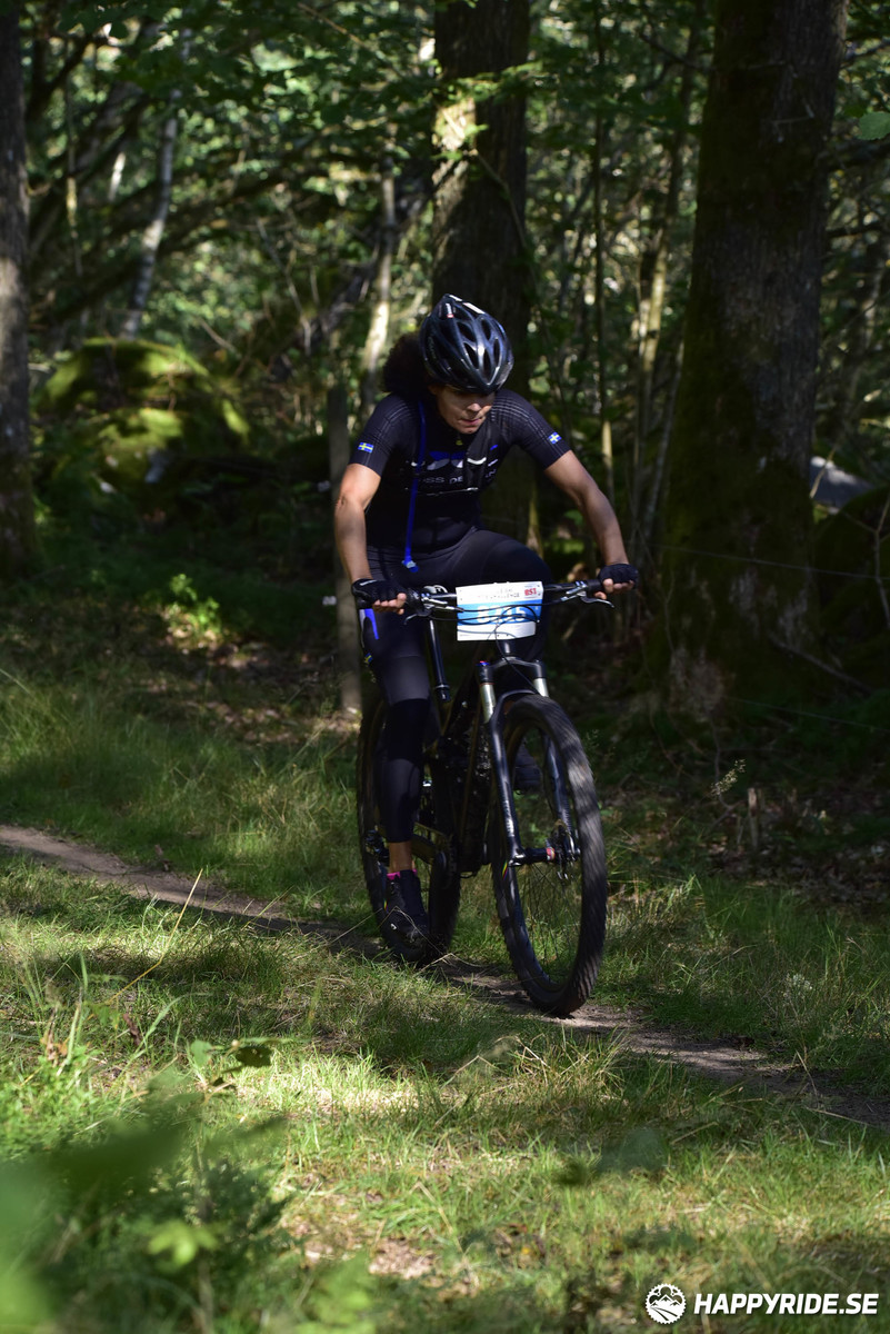 Bild från Bockstensturen 2019